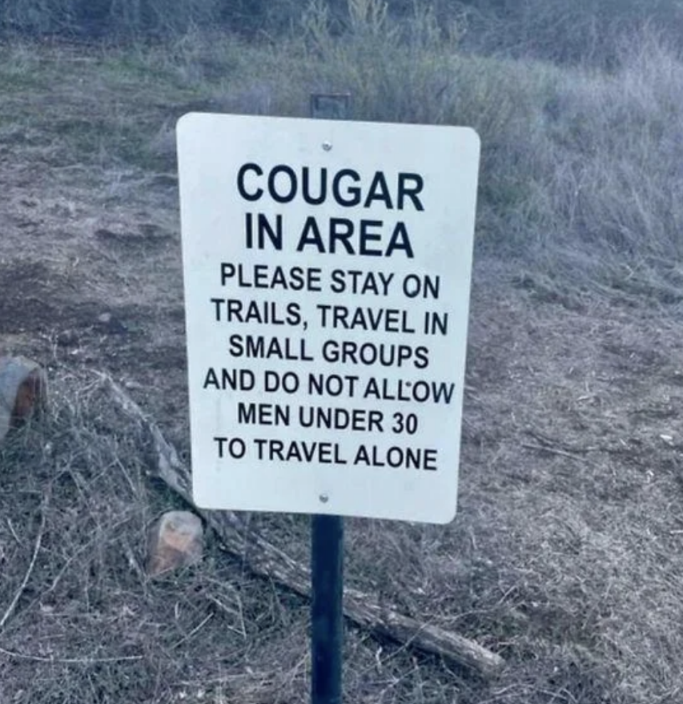 Sign warning of a cougar in the area, advising to stay on trails and not allow males under 30 to travel alone