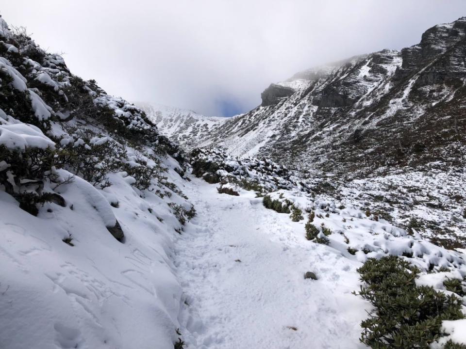 ▲入冬首波寒流續發威！雪山積雪超過90公分，將創近5年來最深紀錄。（圖／翻攝畫面）