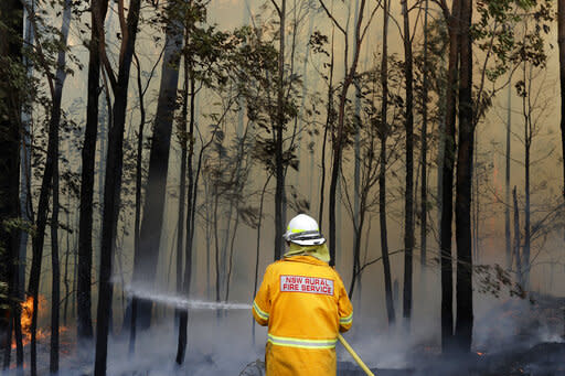 澳洲野火自去年9月延燒至今。（圖／AP、達志影像）