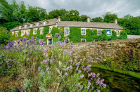 <p>The work of husband-and-wife hotelier team Sam and Georgie Pearman, this rustic retreat occupies a prime position in the village of Ascott-under-Wychwood, just a few hours away from the hustle and bustle of London, but worlds away in feel. </p><p>Head out for long, rambling walks across the fields or down country lanes, then return to sink into a velvet armchair in front of the fireplace before feasting on high-end versions of pub classics in the art-filled dining room. </p><p>Upstairs, eight bedrooms make the most of the snuggly, historic feel here, with wooden beams and deep roll-top bathtubs to soak in after a muddy meander. </p><p><a class="link " href="https://www.booking.com/hotel/gb/swanclassichotel.en-gb.html?aid=2070929&label=romantic-hotels-cotswolds" rel="nofollow noopener" target="_blank" data-ylk="slk:CHECK AVAILABILITY;elm:context_link;itc:0;sec:content-canvas">CHECK AVAILABILITY</a></p>