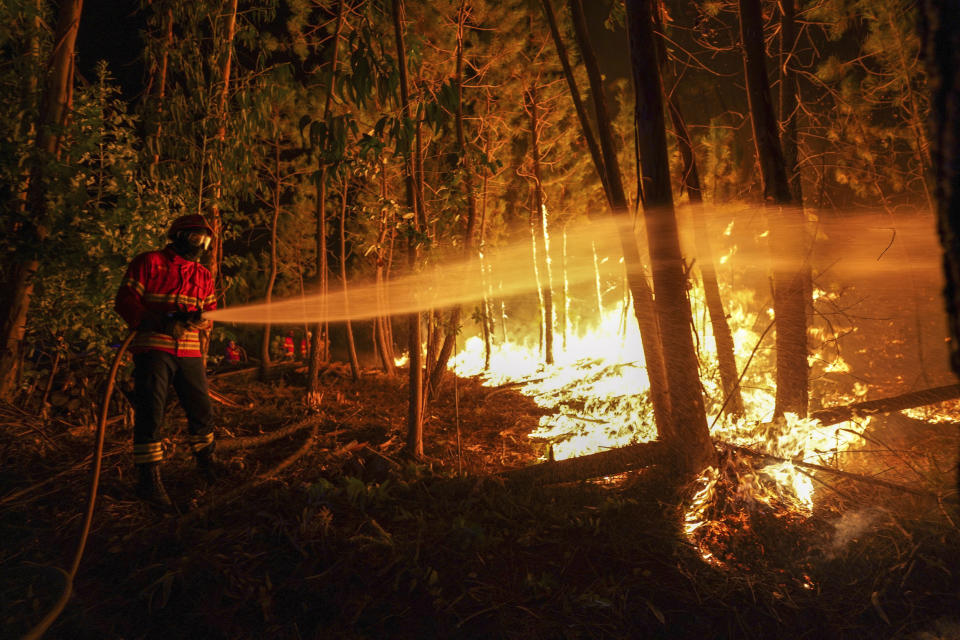 Image: Forest fire Portugal (Sergio Azenha / AP file)