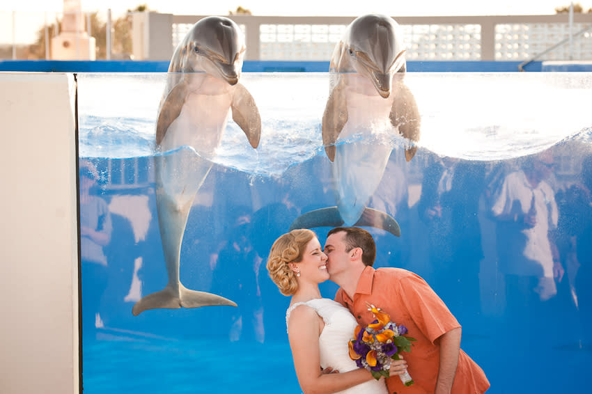 <div class="caption-credit">Photo by: Sarah Mac Photography</div><div class="caption-title">Double Take</div><p> Forget acrobatic flips and other tricks - this dolphin duo stole our heart by popping up to watch this couple's just-married kiss. </p> <p> <i>Have a photobomb of your own that you'd like to share? Upload your pic to</i> <i><span>BG's Facebook page</span> or</i><i><span>submit it to us via Instagram</span> (be sure to include the hashtag #bgphotobombs) and we may add it to our list!</i> </p>