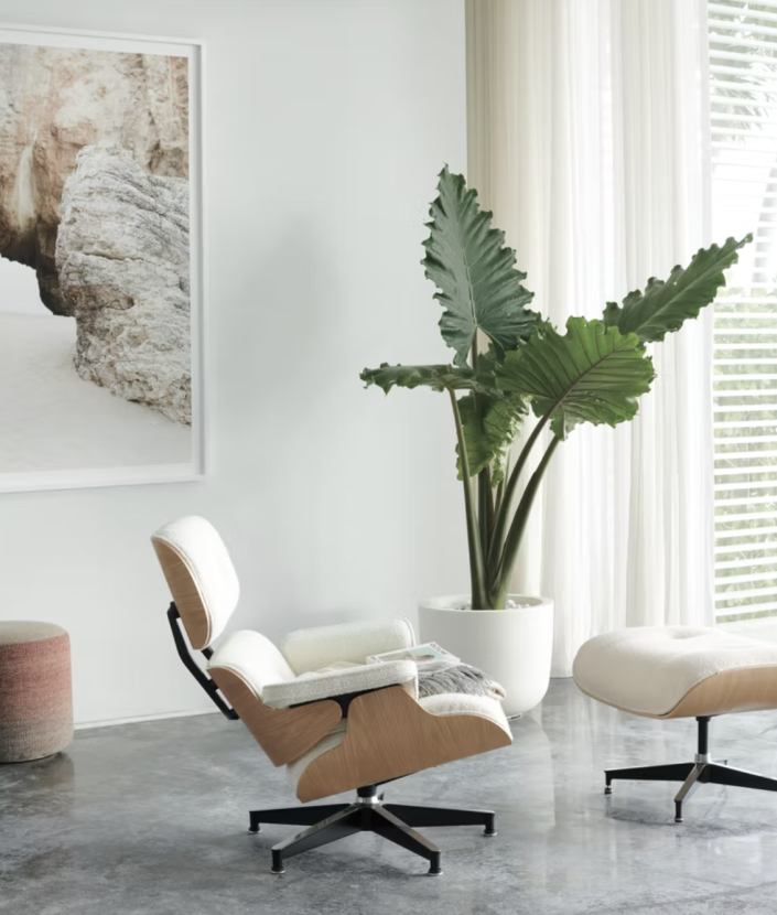 <p><strong>Herman Miller</strong></p><p>dwr.com</p><p><strong>$4246.00</strong></p><p><a href="https://go.redirectingat.com?id=74968X1596630&url=https%3A%2F%2Fwww.dwr.com%2Fliving-lounge-chairs%2Feames-lounge-chair-and-ottoman%2F100198819.html%3Flang%3Den_US%26gclid%3DCjwKCAjw9NeXBhAMEiwAbaY4lpNqjCrbadiMt6YEPXvQgqDmHVmSiu0vtbUVUe7LzlwqEQXC3X-uHRoCpB8QAvD_BwE%26gclsrc%3Daw.ds&sref=https%3A%2F%2Fwww.esquire.com%2Flifestyle%2Fg40875333%2Fbest-reading-chairs%2F" rel="nofollow noopener" target="_blank" data-ylk="slk:Shop Now" class="link ">Shop Now</a></p><p>The crème de la crème of all reading chairs is non other than the Herman Miller Eames Chair, of course. It's a real splurge, but something that you'll (hopefully) have forever.</p>