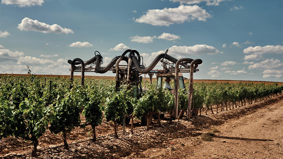 A farmer applies phytosanitary products to a Ribera del Duero vineyard.