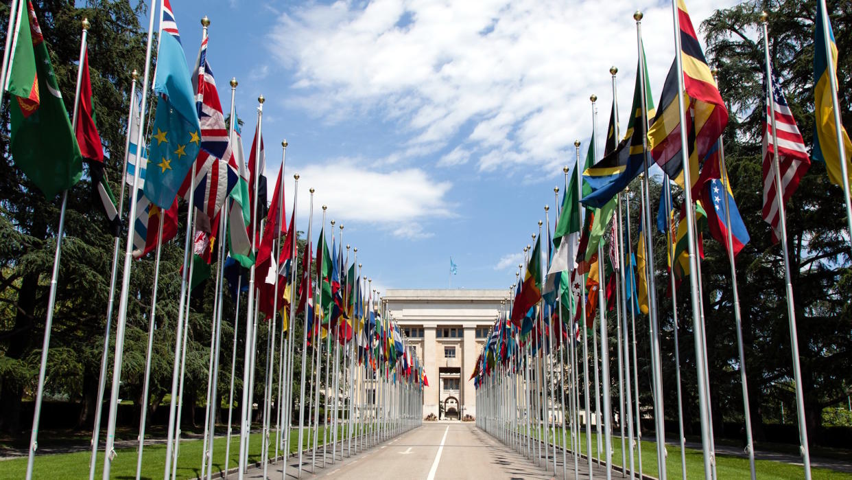  The UN building. 