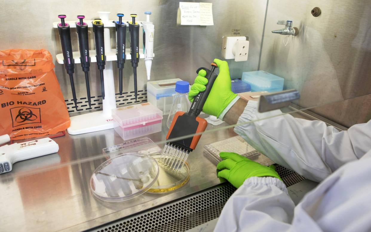A technician transfers samples of bacteria into a tray of test tubes - Bloomberg