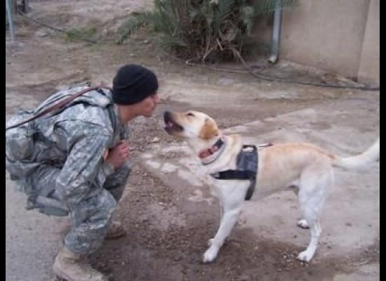 Cpl. Kory Wiens was so attached to Cooper, the military dog he worked with, that he planned to stay in the Army until the Labrador retriever's career was over and adopt him afterwards, the AP reports. <a href="http://www.huffingtonpost.com/2011/10/28/colo-army-post-honors-sol_n_1063387.html" target="_hplink">The two were killed by an improvised bomb in 2007</a> and were buried together in Wiens' Dallas, Ore., hometown.