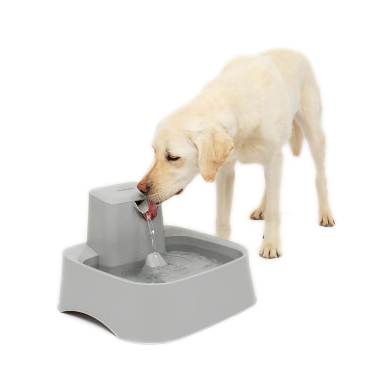 PetSafe Drinkwell Water Fountain