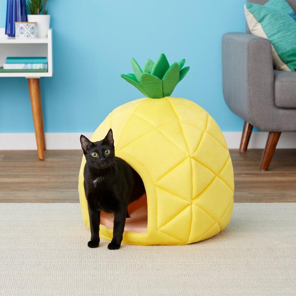 Pineapple Covered Cat Bed