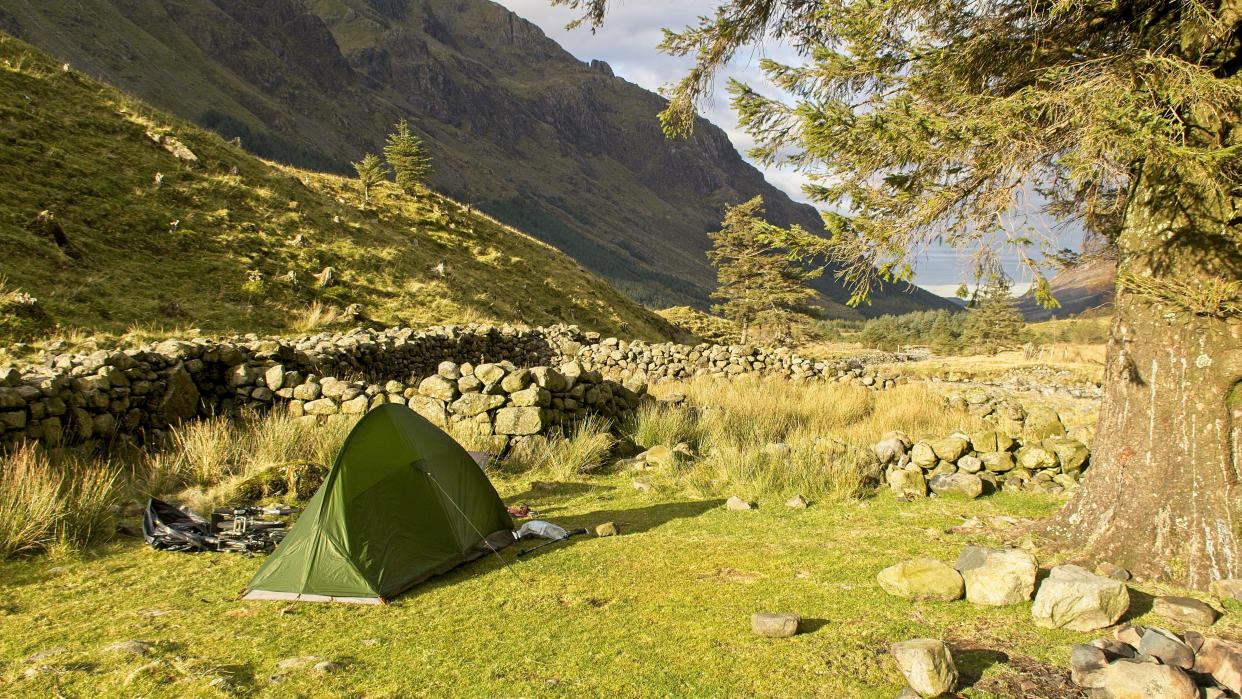  Tent pitched by stone wall, Lake District, UK. 