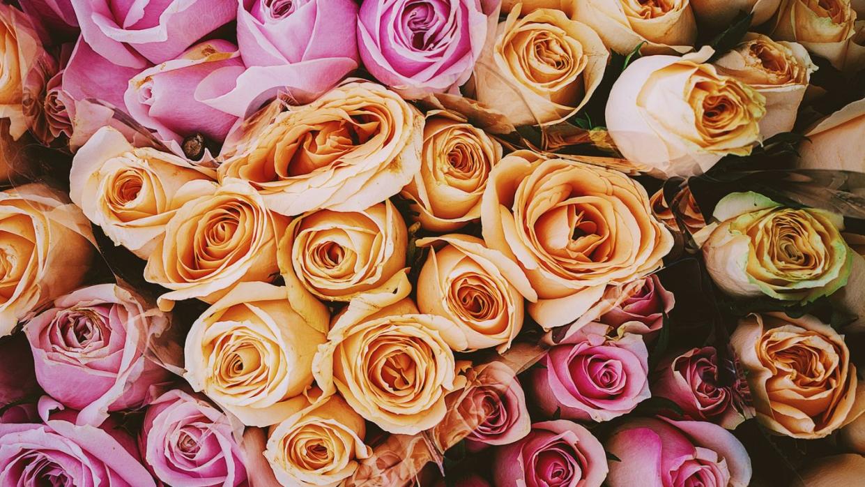 full frame of roses colored bouquet