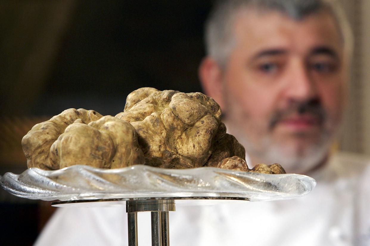 1.2 Kg, white truffle worth a record-breaking 95,000 Euros