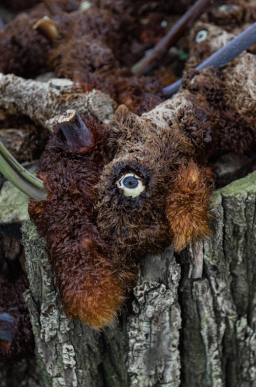 Elaborate artwork of an eye integrated into tree bark, creating an illusion of a camouflaged animal