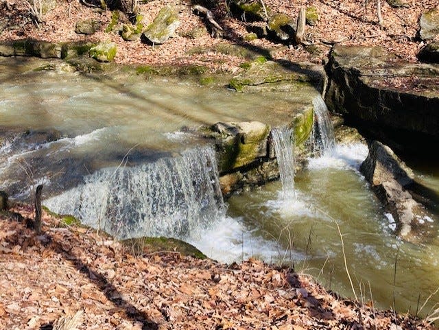 The waterfall on Nine Penny Branch Creek.