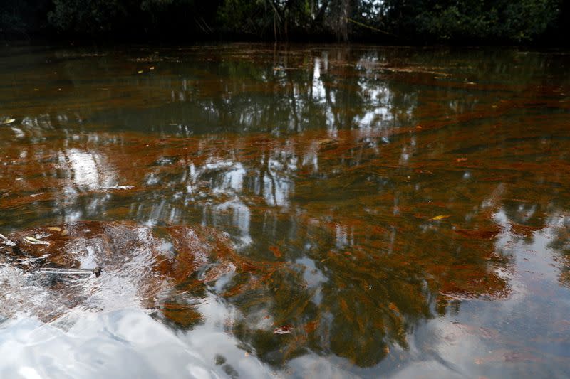 Oil slick is seen on Santa Barbara creek, following an oil spill in Nembe Bayelsa