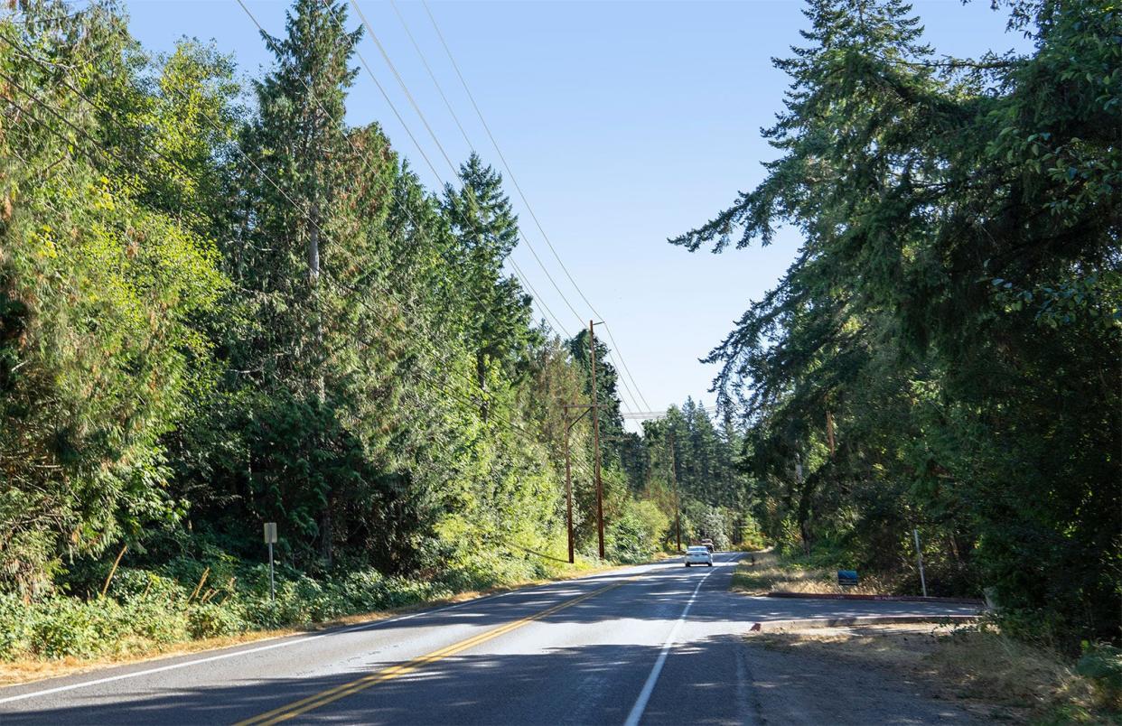 A rendering showing the new Bainbridge Island power transmission line on Sportsman Club Road, near the entrance to Woodward Middle School. Improvements to reliability like this new line are a reason Puget Sound Energy is raising customers' bills by double digits in 2023.
