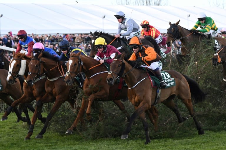 Noble Yeats (R), the 2022 Grand National winner, carries top weight as he bids to regain his crown on Saturday (Paul ELLIS)