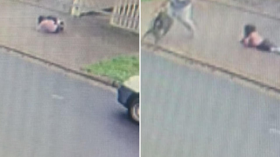 stills from the footage of the dog attacking the little girl and the brave neighbour running to save her