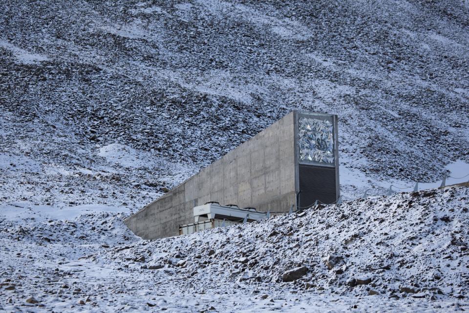 La enorme despensa subterránea está cerca de la localidad Longyearbyen. Almacena cerca de un millón de paquetes de semillas de casi todos los países (Foto: Dave Walsh/VW Pics/UIG via Getty Images)