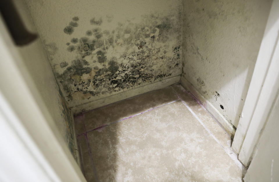 Mold grows in a closet of a unit at Rockport Apartments. (Photo: Elizabeth Conley/Houston Chronicle)