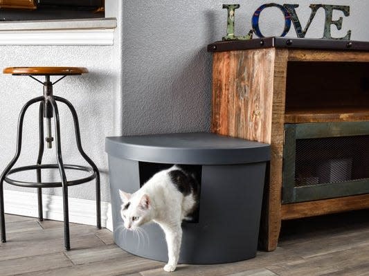 A white and black cat comes out of the Kitangle Corner Kitty Litter Box set on a wooden floor.