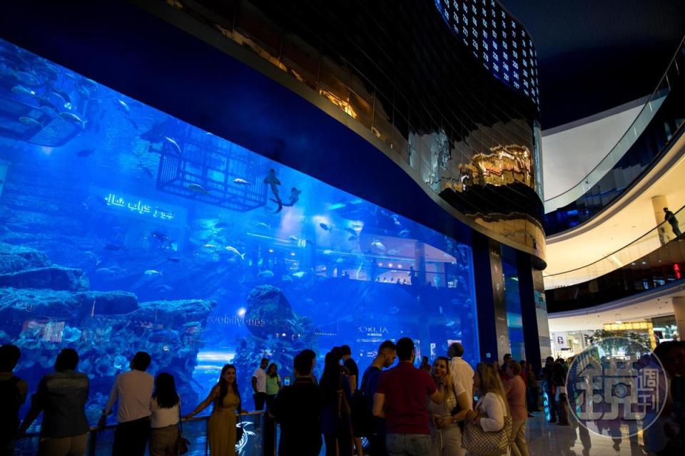 杜拜購物中心的水族館，擁有一面經過金氏世紀錄認證的世界最大有機玻璃牆。