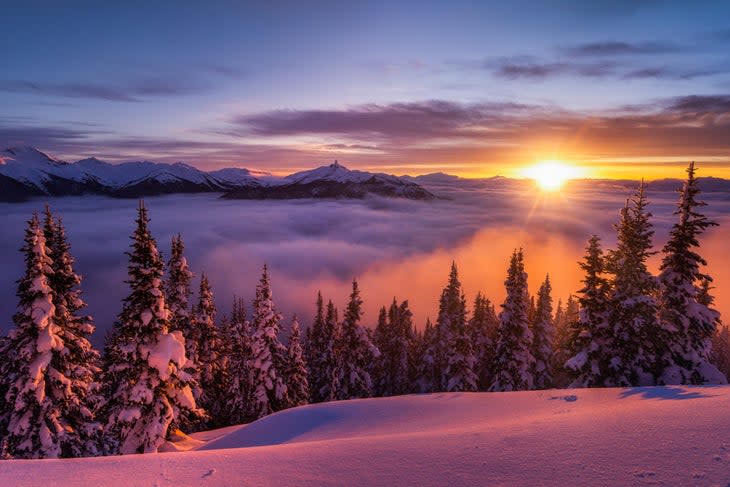 Whistler Blackcomb