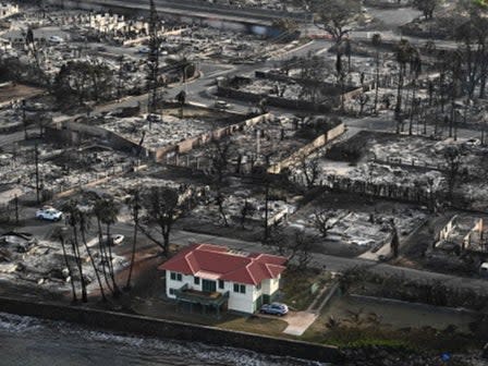 Dora Atwater Millikin and her husband own the red-roofed home that was spared from the fires (AFP via Getty Images)