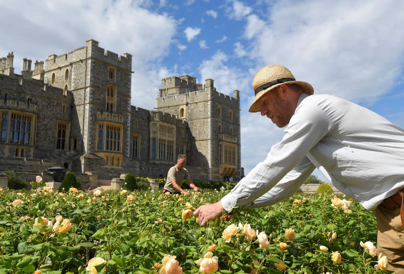 Opening of the East Terrace Garden at Windsor Castle the first time in decades