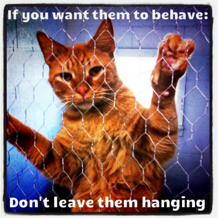 Don't Leave Them Hanging!