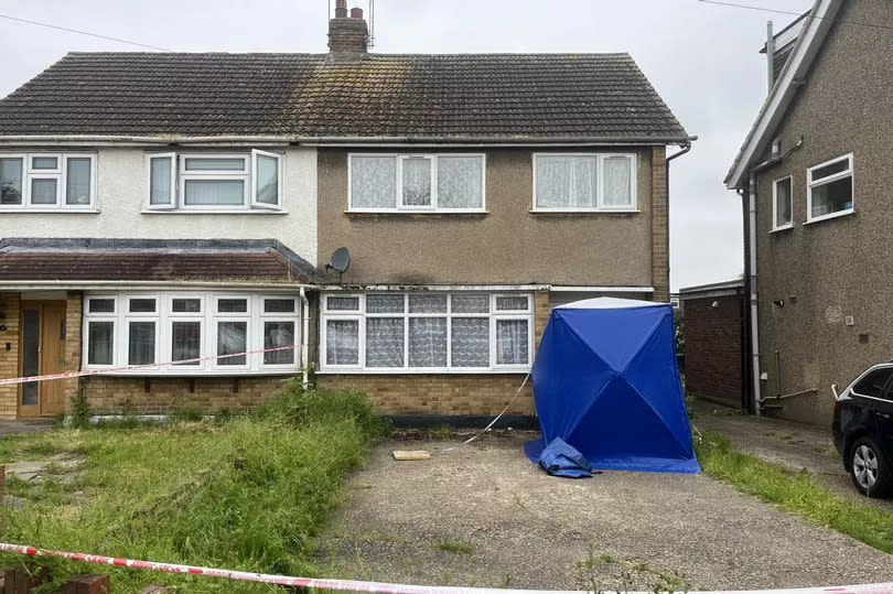 A police cordon in Cornwall Close, Hornchurch, east London, where a dog owner has been mauled to death by her two registered XL Bullies