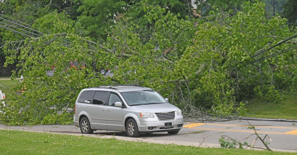 A motorist tries to find a way around a downed tree after an overnight storm on Tuesday.