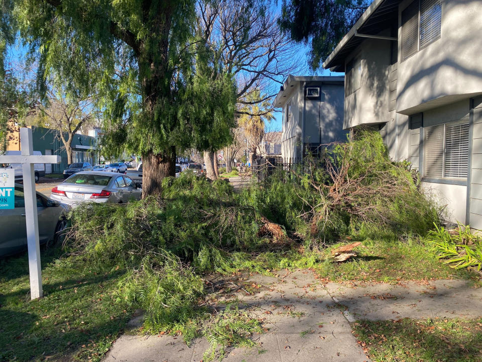 Tree branches block a road in Sacramento, Calif., Sunday, Jan. 1, 2023. California was drying out and digging out on New Year's Day after a powerful storm brought drenching rain or heavy snowfall to much of the state, snarling traffic and closing highways. (AP Photo/Kathleen Ronayne)