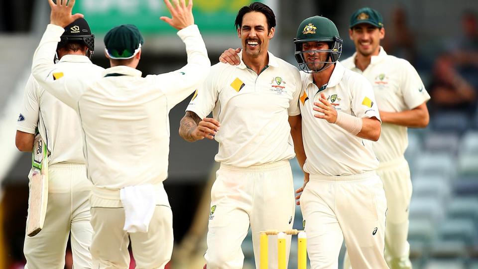 Mitchell Johnson, pictured here during a Test match for Australia in 2015.