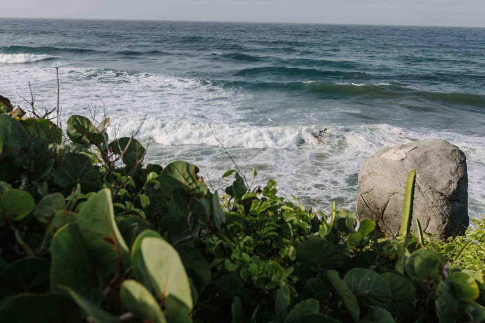 <p>Sofia Jaramillo</p> A surfer catches waves near Casa Bambú.