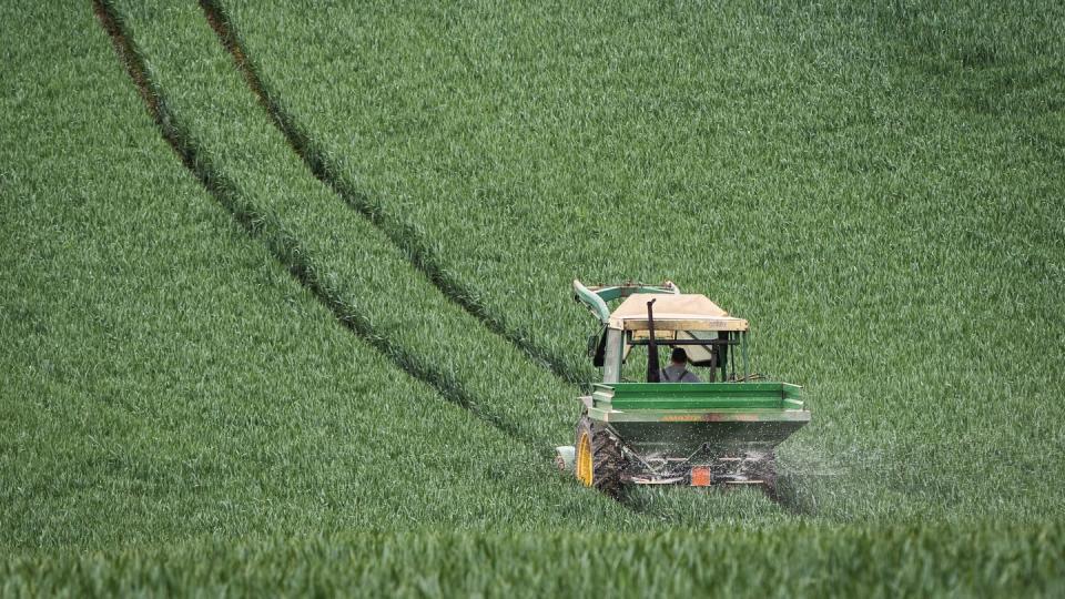 Mit dem Düngerstreuer am Traktor fährt ein Landwirt im Main-Kinzig-Kreis über ein noch grünes Getreidefeld.