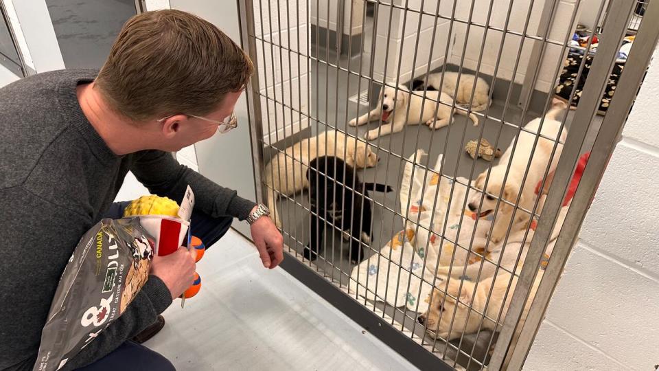 According to Carrie Fritz, the Calgary Humane Society’s executive director, there has been a 148 per cent increase in puppy intake at the shelter this year, compared to 2019.