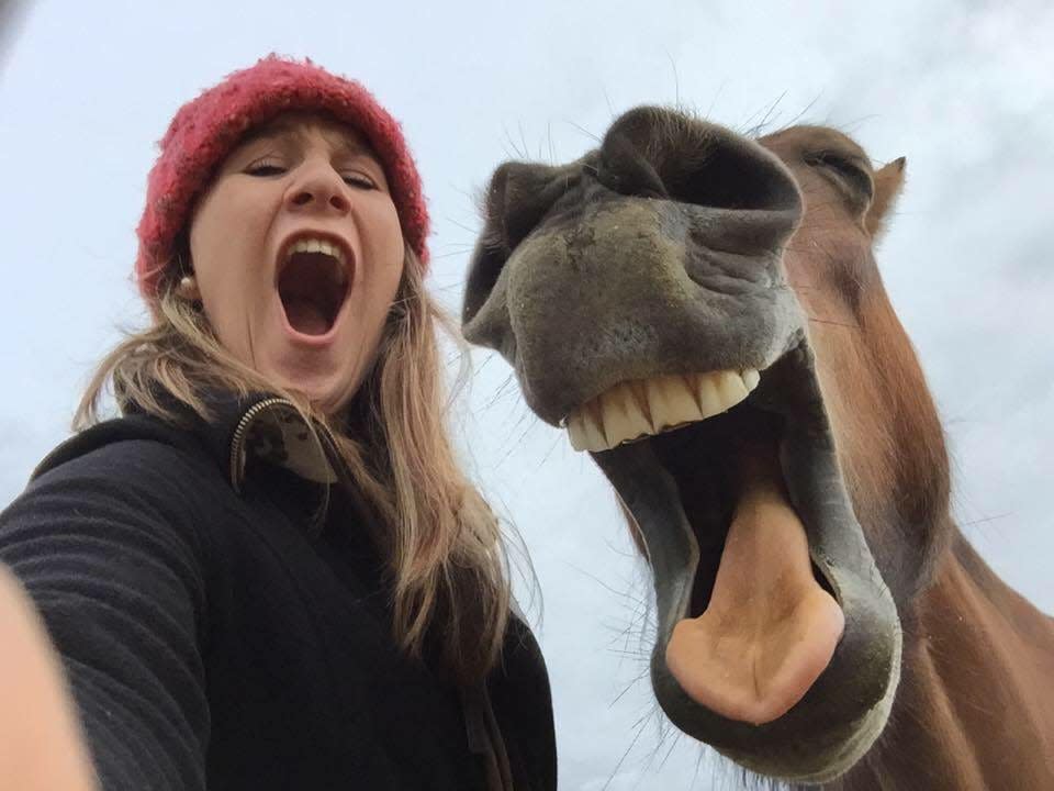 best friends horses humans