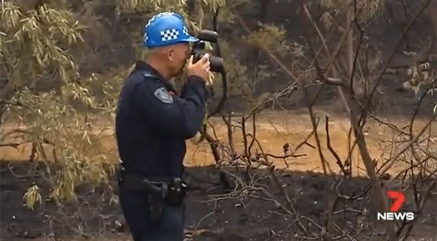 Authorities are working to see if Lambkin is linked to other fires in the area. Source: 7 News