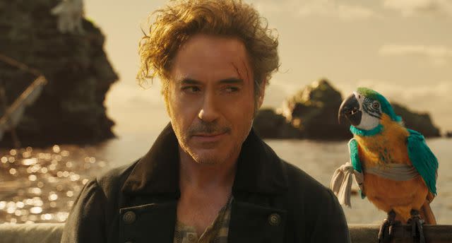 <p>Universal Pictures/Kobal/Shutterstock </p> Robert Downey Jr. starred in the 2020 movie 'Dolittle.'