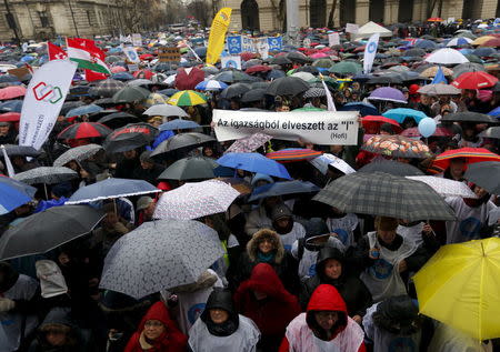 People demonstrate against the Hungarian goverment's education policies in Budapest, Hungary, February 13, 2016. REUTERS/Laszlo Balogh