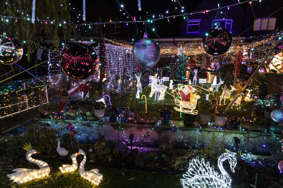 Nigel Watkinson's garden in Scarborough, North Yorkshire