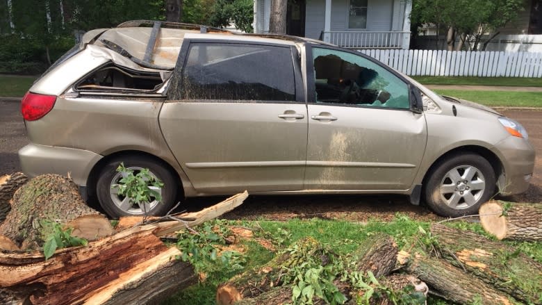 Cleanup underway after Friday storm topples trees across Edmonton