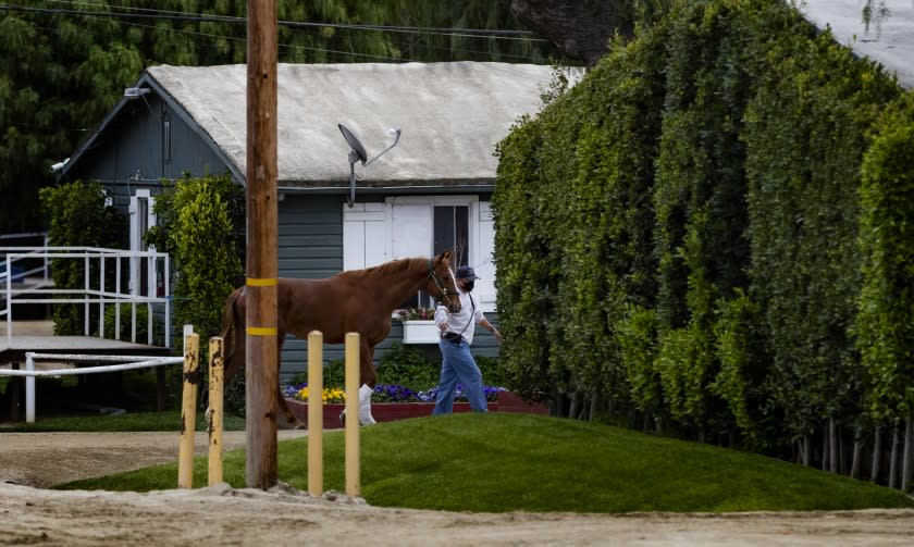 526889_SP_0418_santa_anita_horse_racing_shutdown_5_GMF.jpg