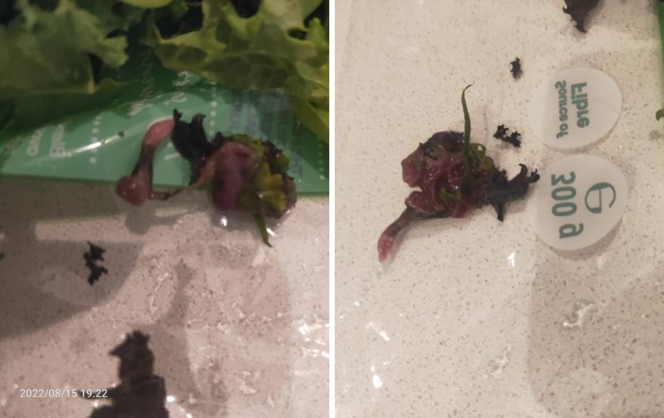 An open bag of mixed green from Woolworths with what the customer believes is part of a decomposing mouse inside