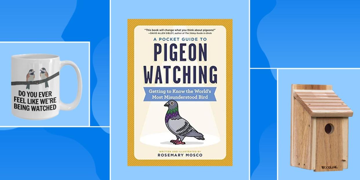 i feel like were being watched funny birdwatching coffee mug, rosemary moscos a pocket guide to pigeon watching, and woodlink wooden bluebird house