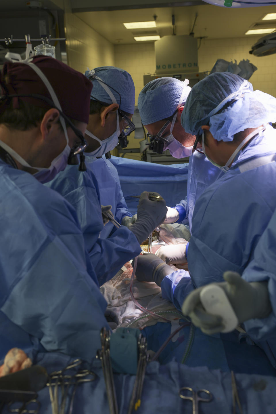 Surgeons perform the world’s first genetically modified pig kidney transplant into a living human at Massachusetts General Hospital, Saturday, March 16, 2024, in Boston, Mass.(Massachusetts General Hospital via AP)