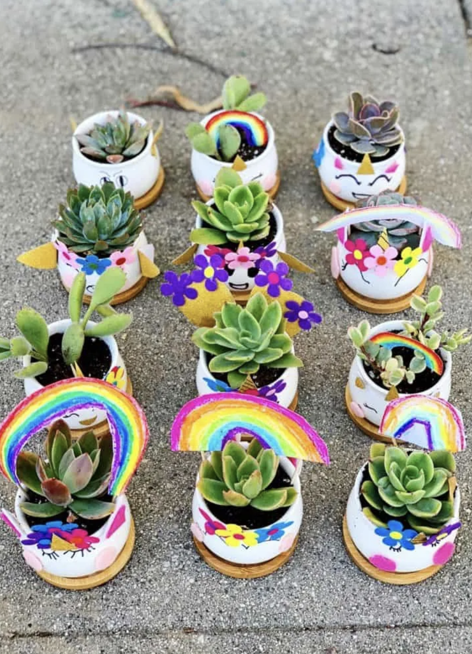 3) Unicorn Planters