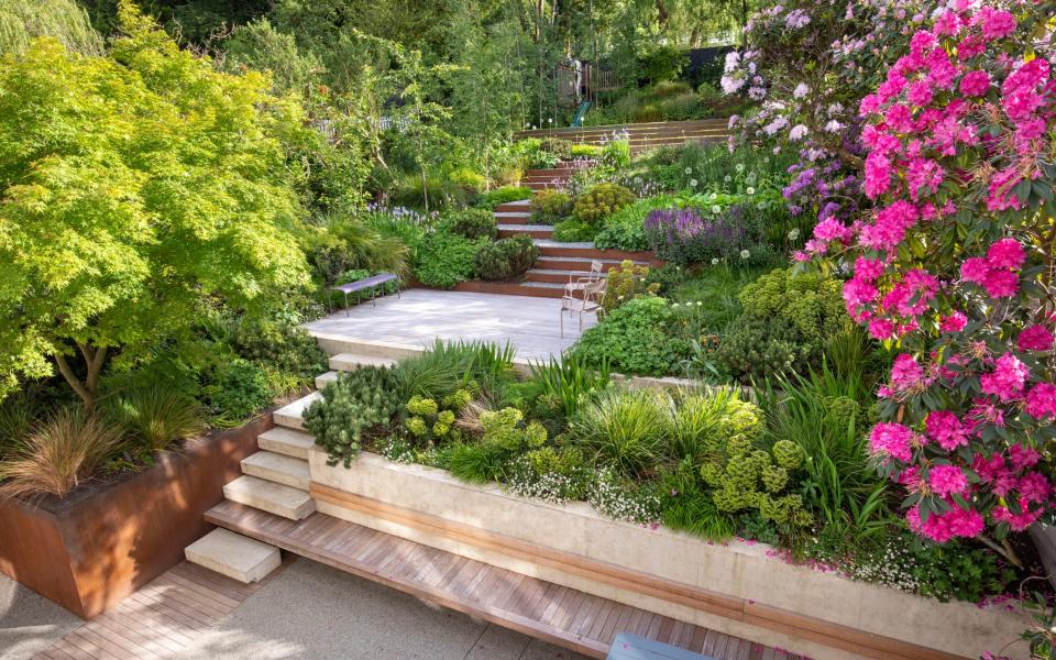 Grand award & medium residential: Sara Jane Rothwell, London Garden Designer - Marianne Majerus