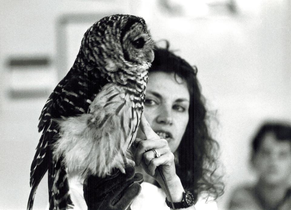 In this 1991 photo, St. Francis Wildlife education director Sandy Beck teaches students at Raa Middle School about barred owls. This disabled owl named Cedar was her "co-teacher" for 30 years.